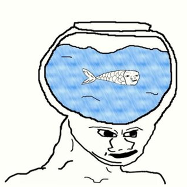 Liquidity Fishbowl Head